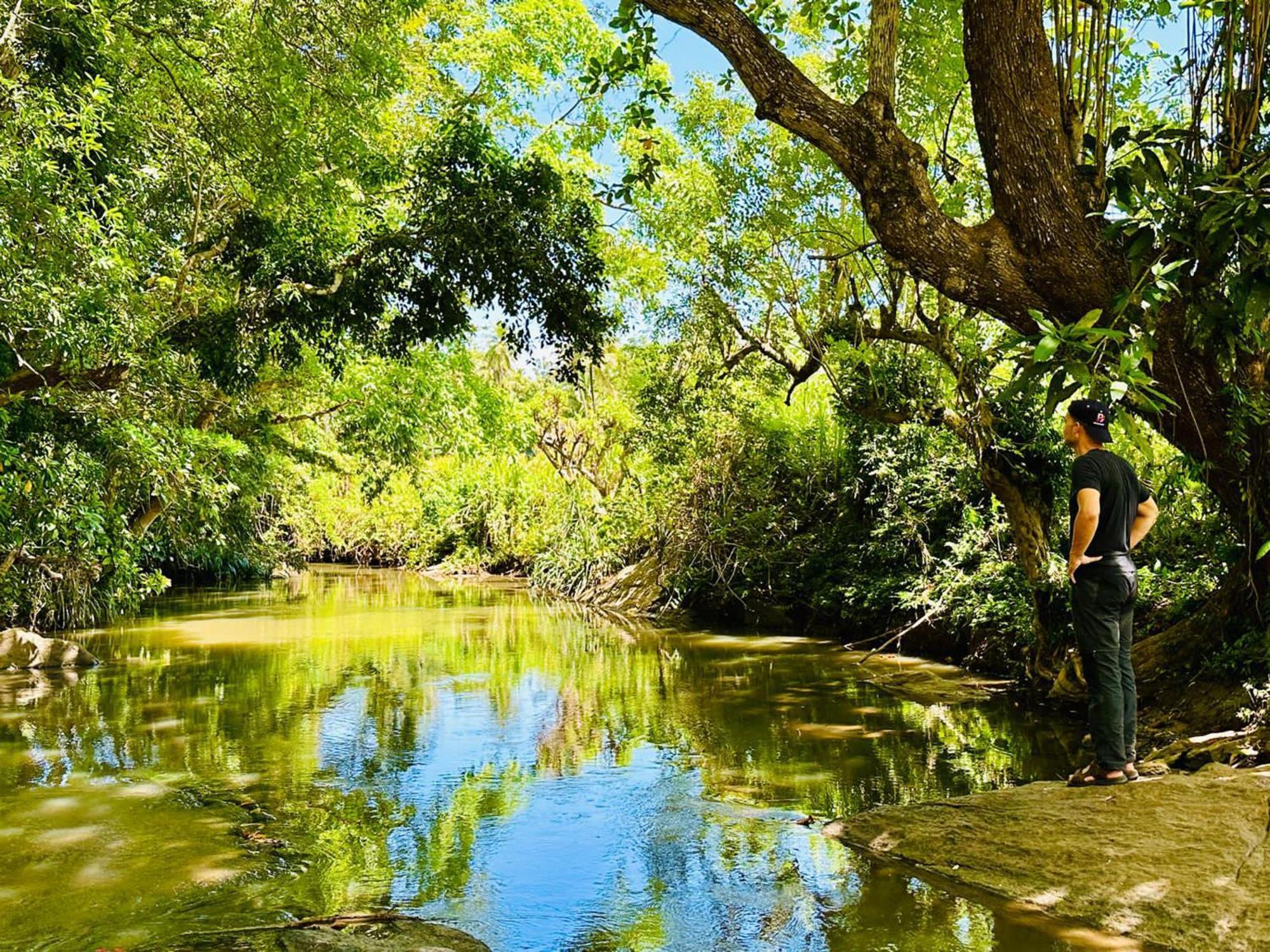 Eagle Safari Cottage ウダワラウェ エクステリア 写真