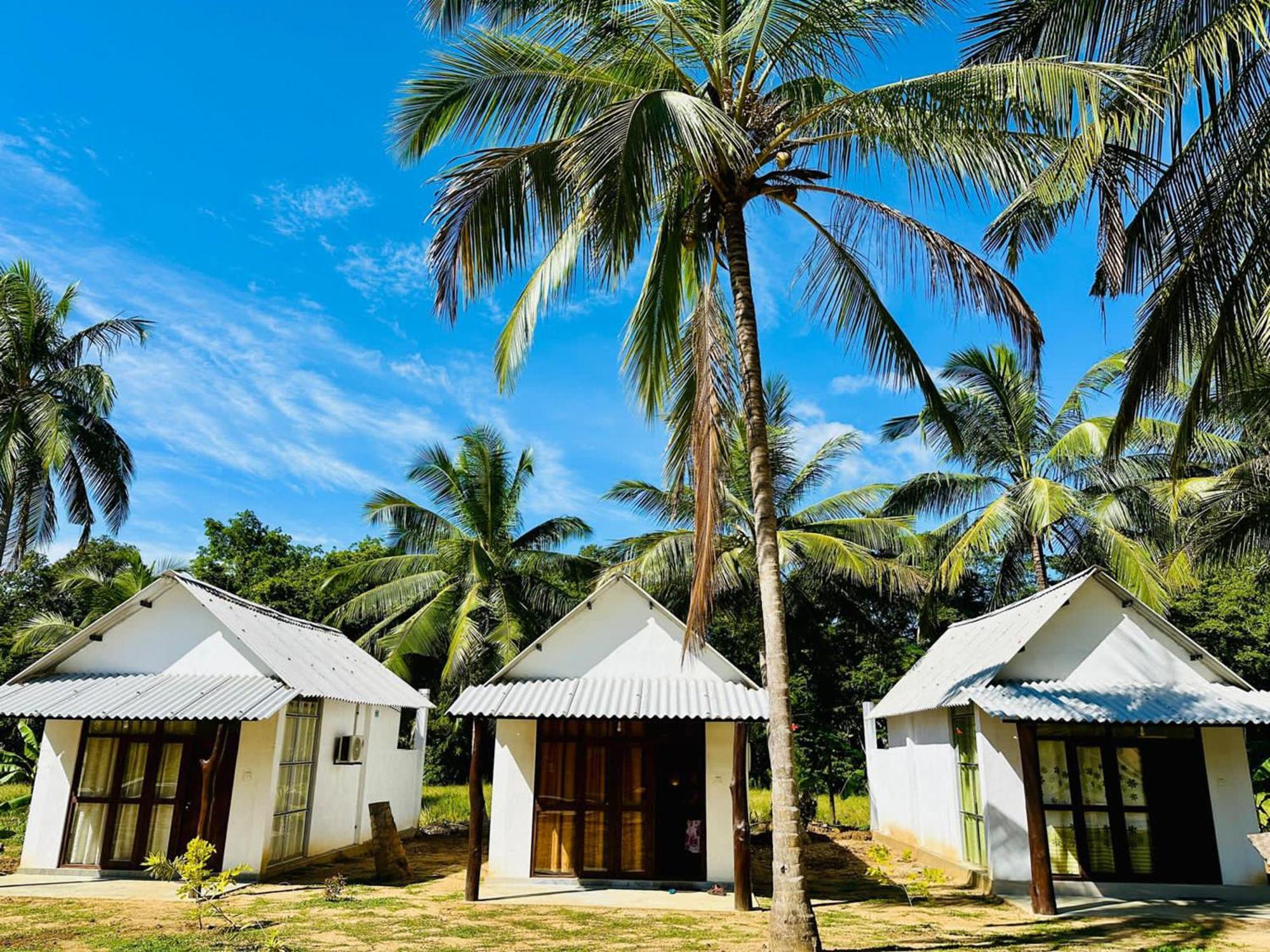 Eagle Safari Cottage ウダワラウェ エクステリア 写真